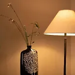 Casa Prosa - * Santar