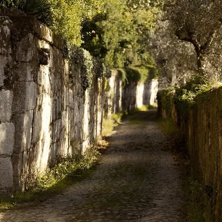 Casa Prosa - Шале *