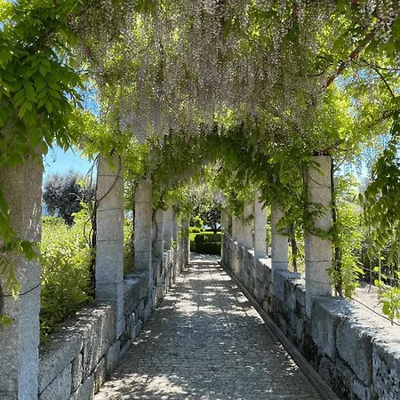Casa Prosa Chalet